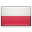 Available in Polish Country Icon
