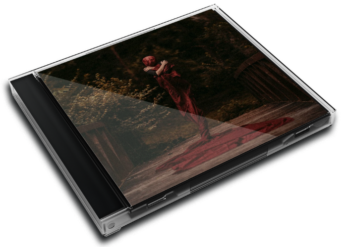 Album 3D Case