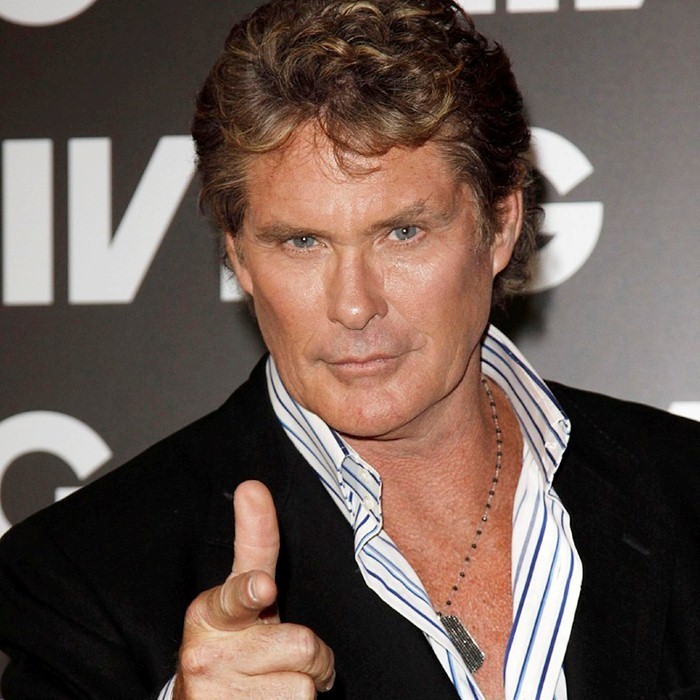 David Hasselhoff Theaudiodb Com